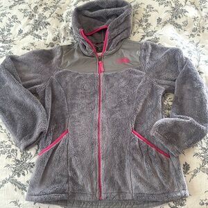 The North Face Sherpa Hoodie